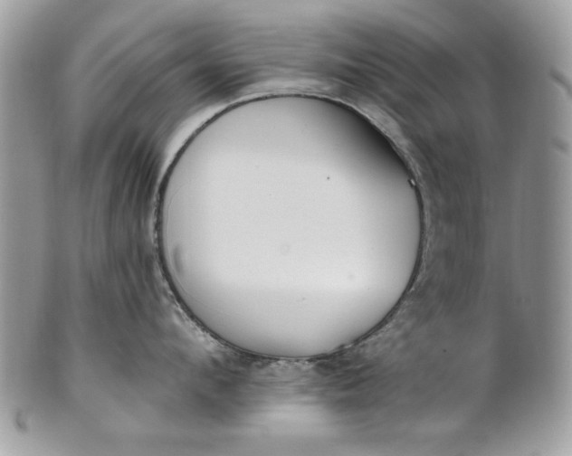 X0000100870912200807071059