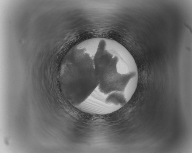 X0000100870913200807071059