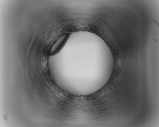 X0000100870914200807071059