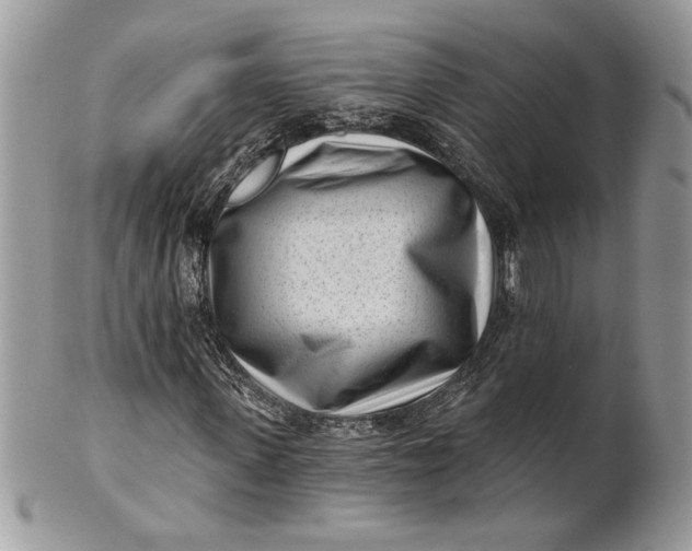 X0000100870915200807071059