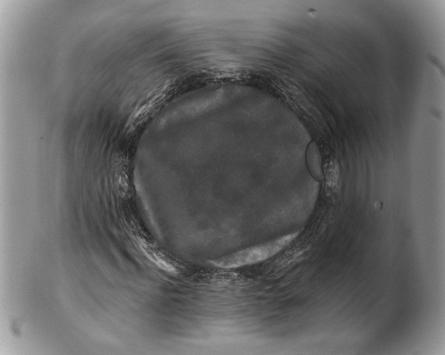 X0000100870916200807071059