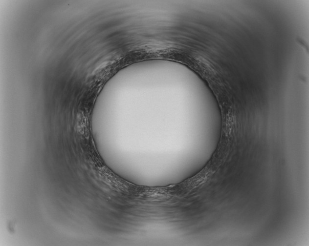 X0000100870917200807071059