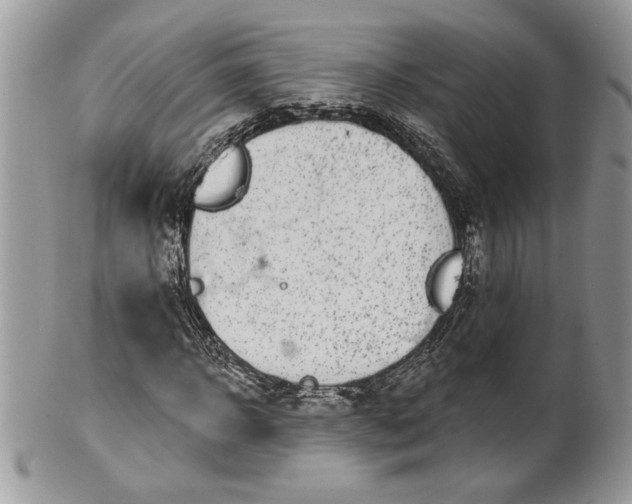 X0000100870918200807071059