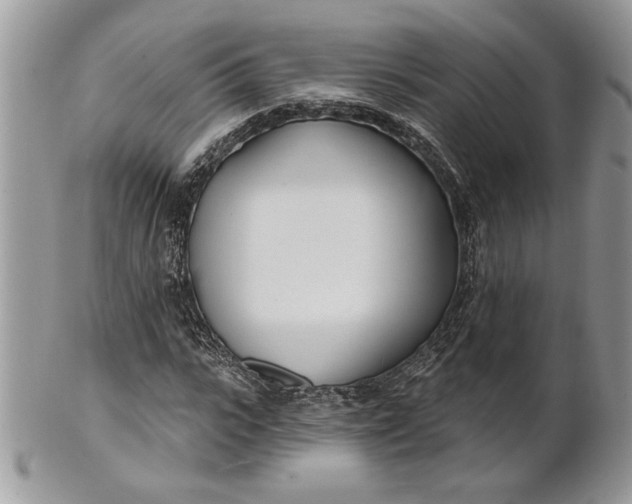 X0000100870919200807071059