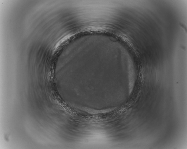 X0000100870920200807071059