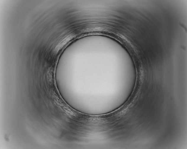 X0000100870921200807071059