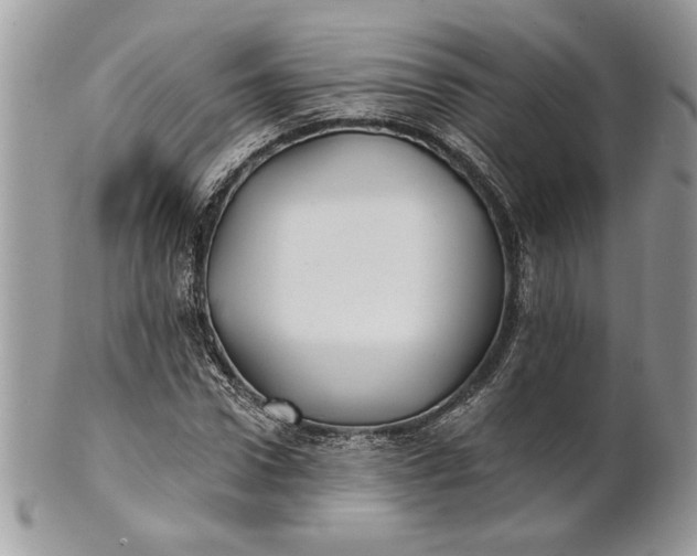 X0000100870922200807071059