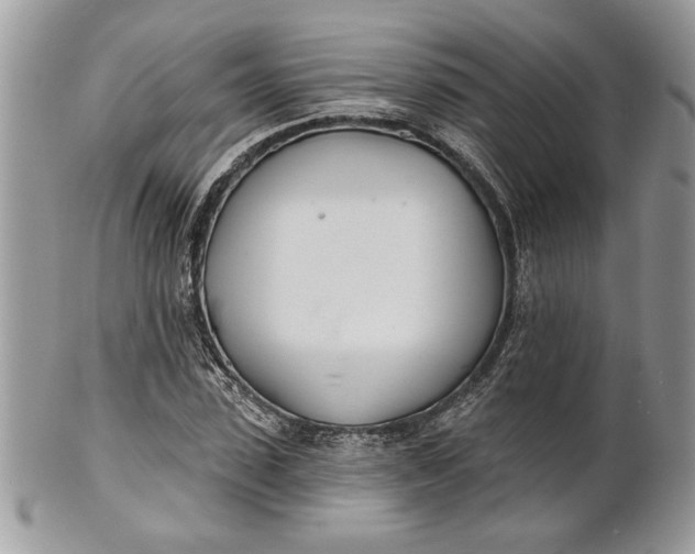 X0000100870923200807071059