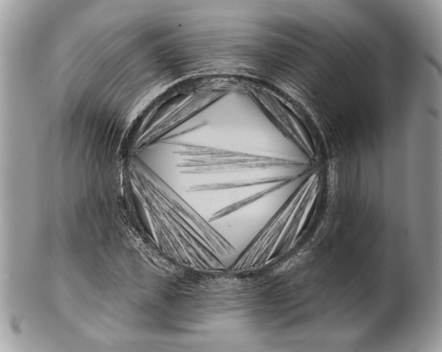 X0000100870925200807071059