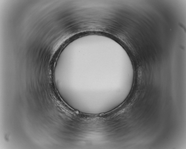 X0000100870926200807071059