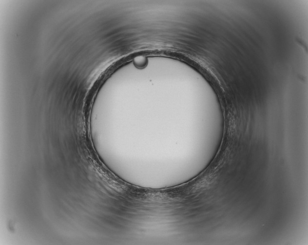 X0000100870927200807071059