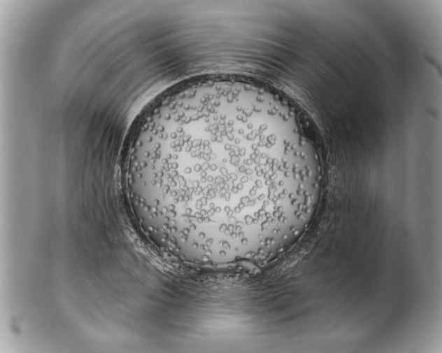 X0000100870928200807071059