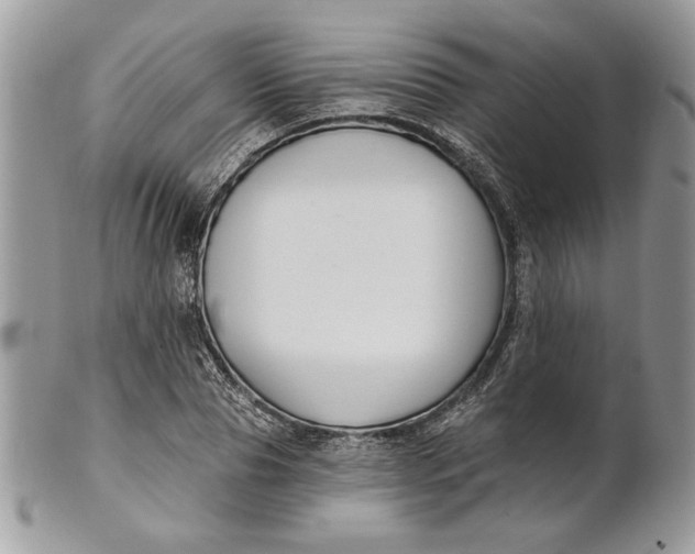 X0000100870929200807071059