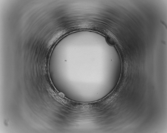 X0000100870930200807071059