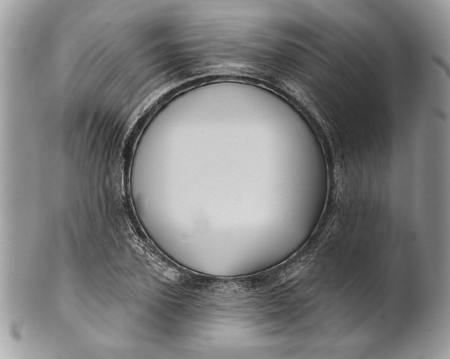 X0000100870931200807071059