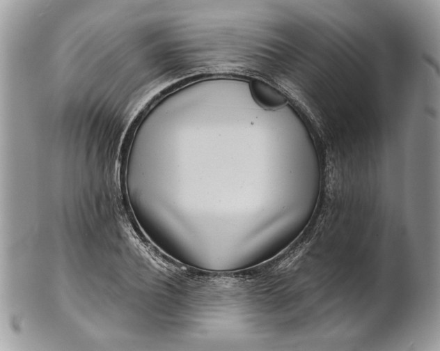 X0000100870932200807071059