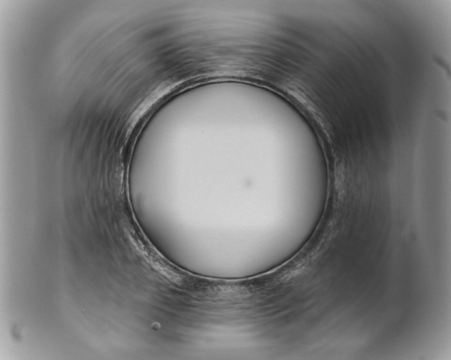 X0000100870933200807071059