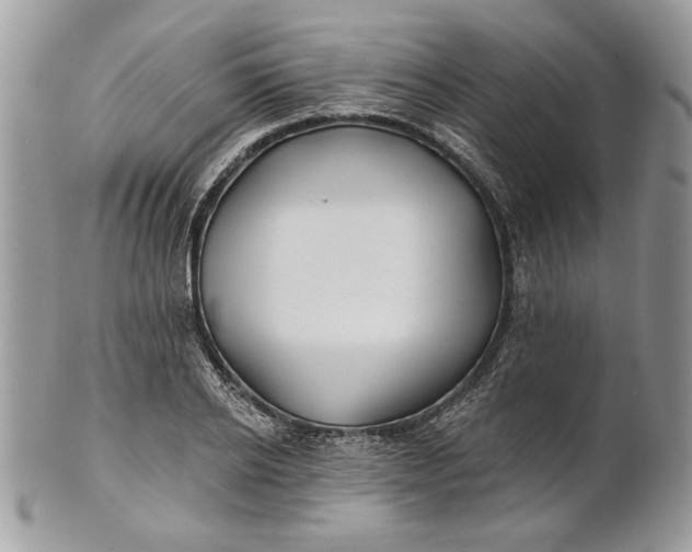 X0000100870934200807071059