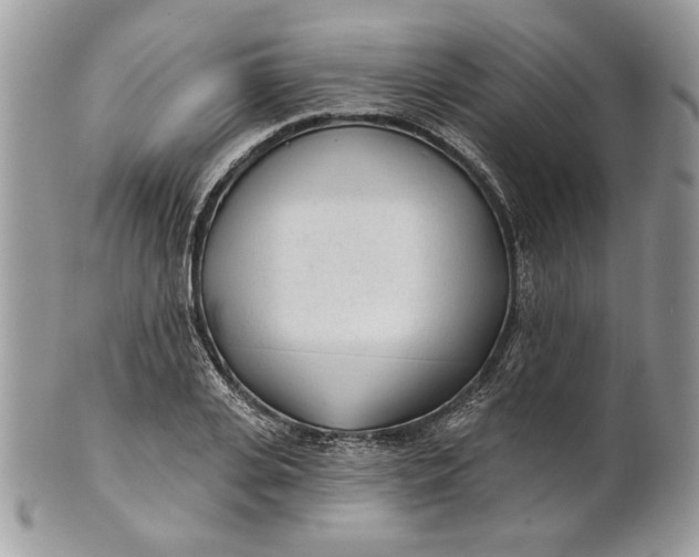 X0000100870935200807071059