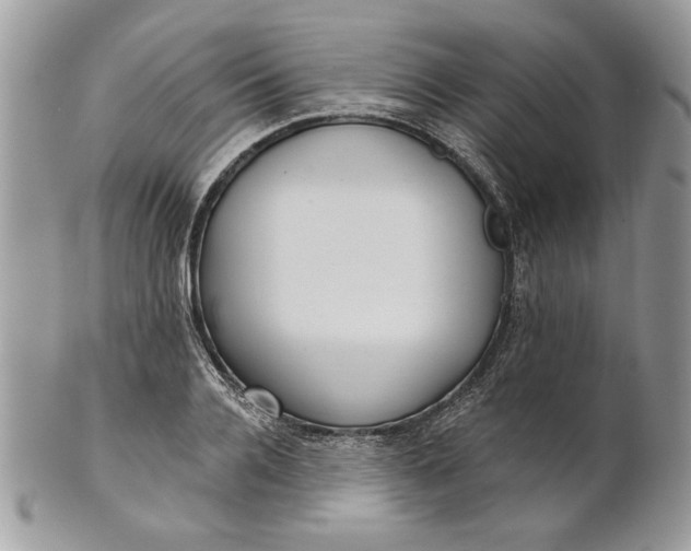 X0000100870936200807071059