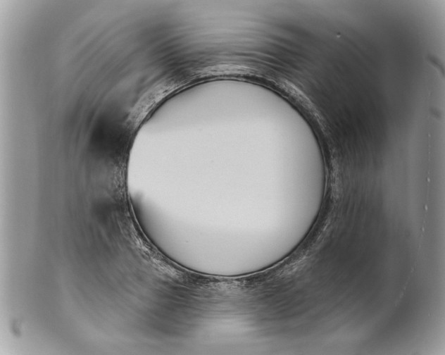 X0000100870937200807071059