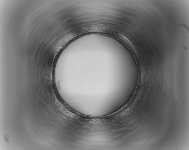 X0000100870938200807071059