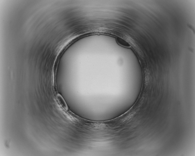 X0000100870940200807071059