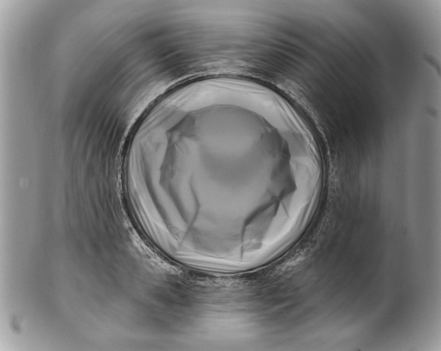 X0000100870941200807071059