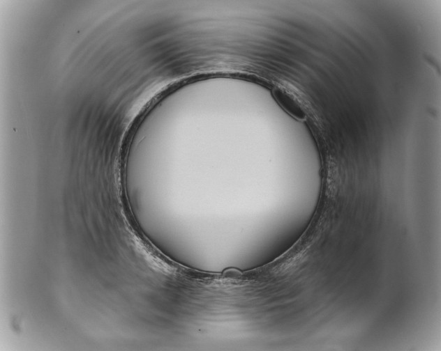 X0000100870942200807071059