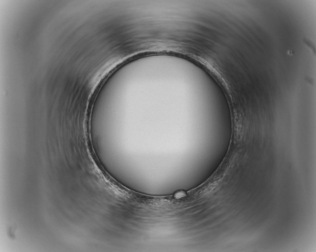 X0000100870943200807071059