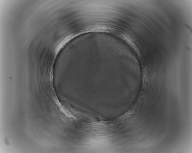 X0000100870944200807071059