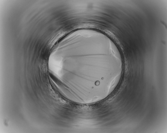 X0000100870945200807071059