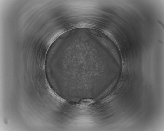 X0000100870946200807071059