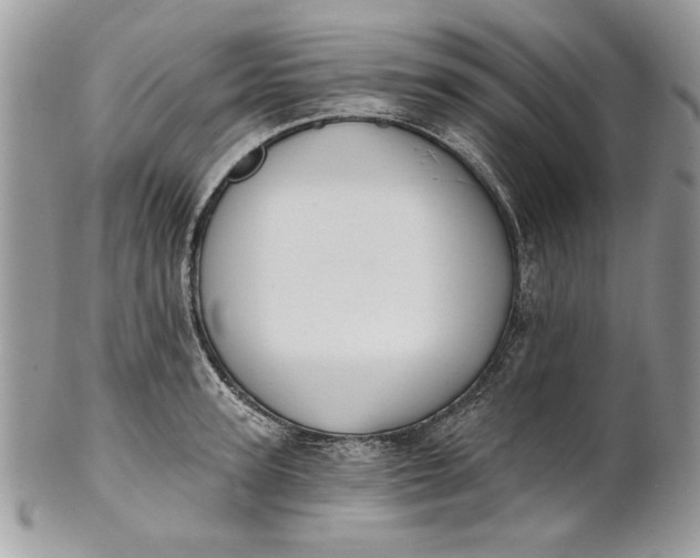 X0000100870947200807071059