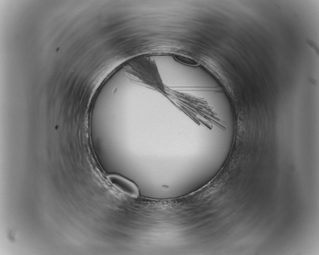 X0000100870948200807071059