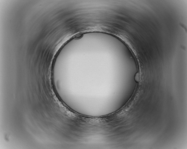 X0000100870949200807071059