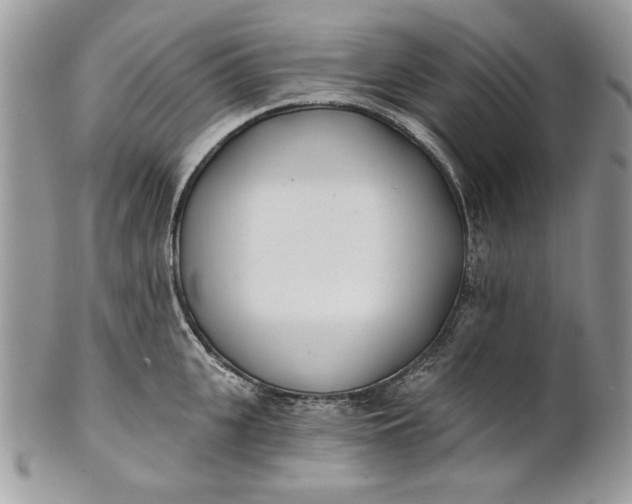 X0000100870951200807071059