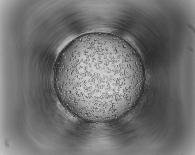 X0000100870952200807071059