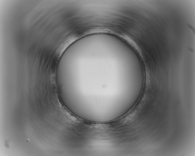 X0000100870953200807071059