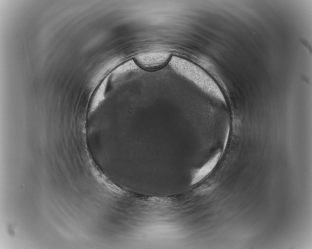 X0000100870954200807071059