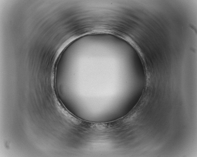 X0000100870955200807071059