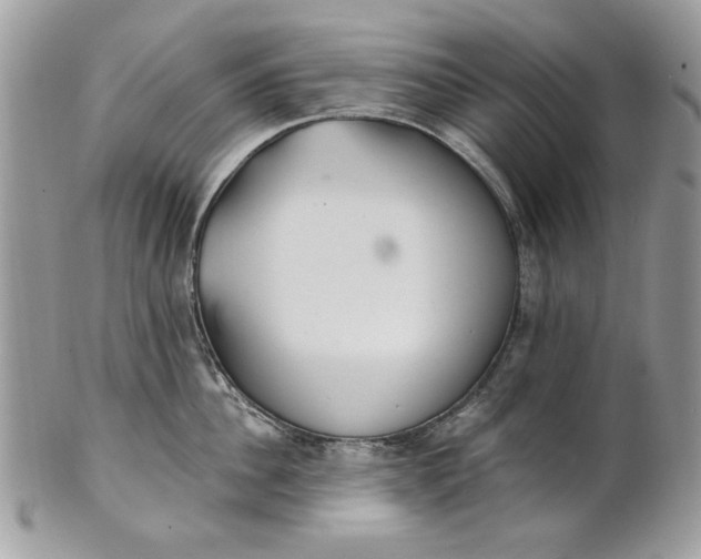 X0000100870956200807071059