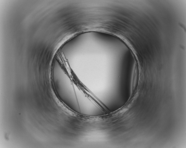 X0000100870957200807071059