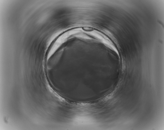 X0000100870958200807071059