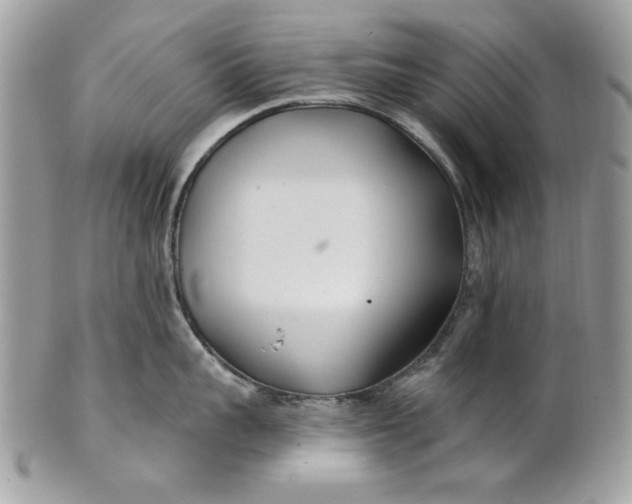 X0000100870959200807071059