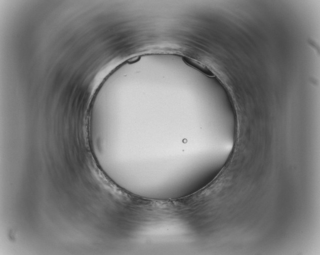 X0000100870960200807071059