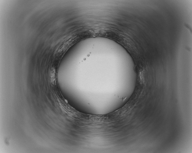 X0000100870963200807071059