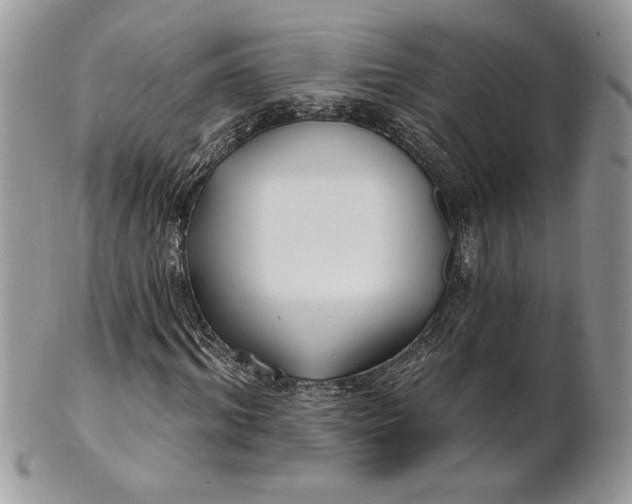 X0000100870964200807071059