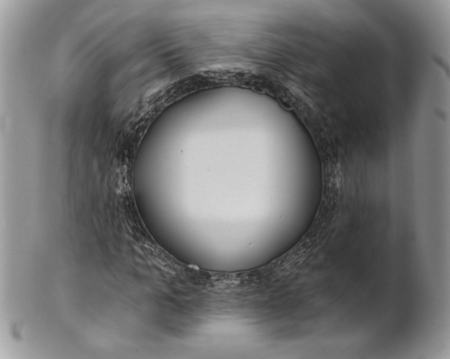 X0000100870965200807071059