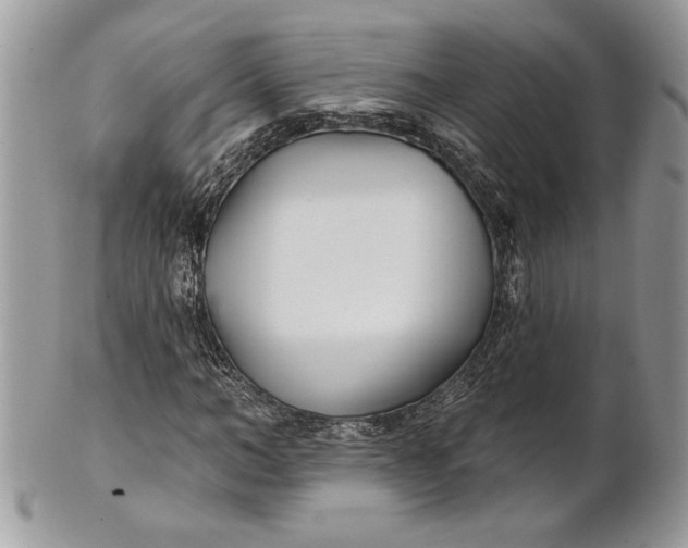 X0000100870966200807071059